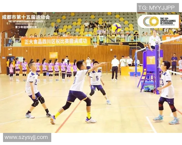 成都排球队的整体压制革新探索与实践之路的深度剖析与展望