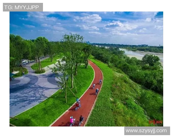 成都乒乓球队中路突破革新之路探索与未来发展展望