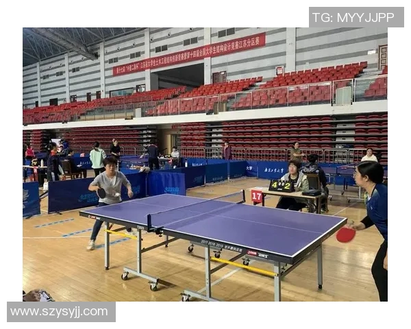 南京乒乓球队的控制策略与技术深度解析探索乒乓球运动的魅力与挑战