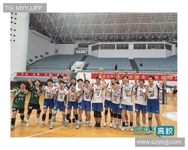 武汉排球队技术实力强劲荣登全国排球技术排行榜第三位