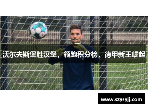 沃尔夫斯堡胜汉堡，领跑积分榜，德甲新王崛起