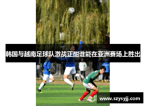 韩国与越南足球队激战正酣谁能在亚洲赛场上胜出